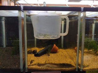 画像に alt 属性が指定されていません。ファイル名: DSC_1485.jpg